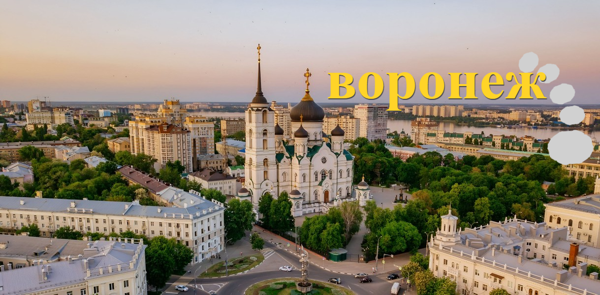 Весенние развлечения в Воронеже: пикники, велопрогулки, фестивали и мастер-классы на свежем воздухе